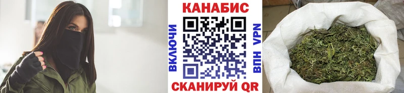 Каннабис планчик Лабытнанги